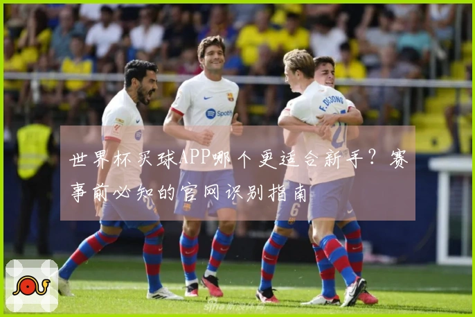世界杯买球APP哪个更适合新手？赛事前必知的官网识别指南