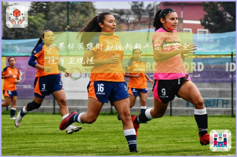 世界杯买球时如何判断平台的安全性与正规性