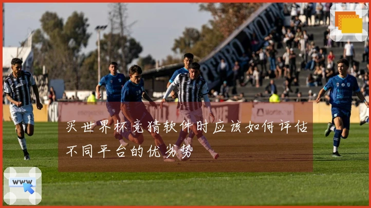 买世界杯竞猜软件时应该如何评估不同平台的优劣势