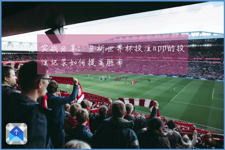 实战分享：分析世界杯投注app的投注记录如何提高胜率