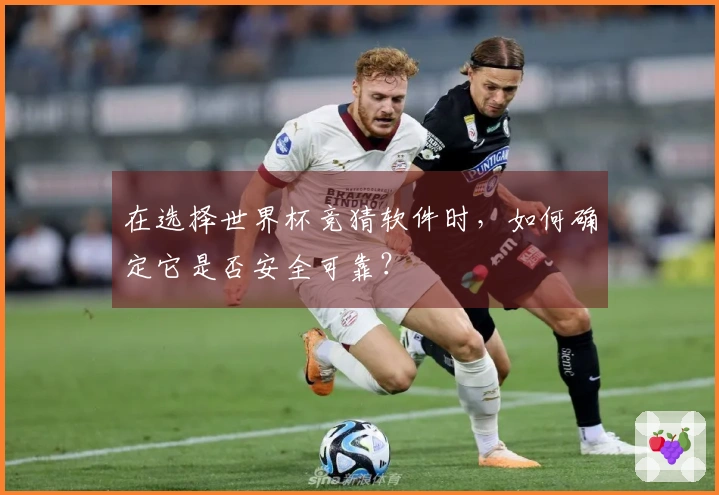 在选择世界杯竞猜软件时，如何确定它是否安全可靠？