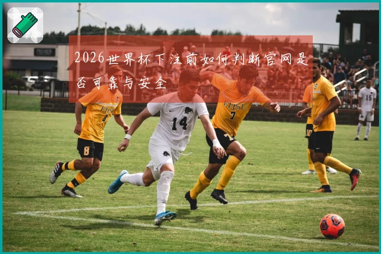 2026世界杯下注前如何判断官网是否可靠与安全