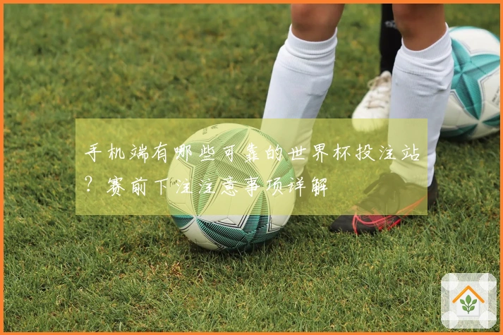 手机端有哪些可靠的世界杯投注站？赛前下注注意事项详解