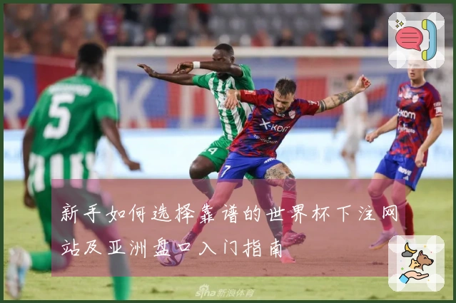 新手如何选择靠谱的世界杯下注网站及亚洲盘口入门指南