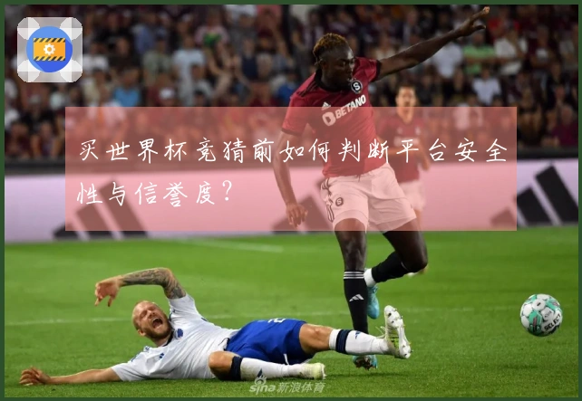买世界杯竞猜前如何判断平台安全性与信誉度？