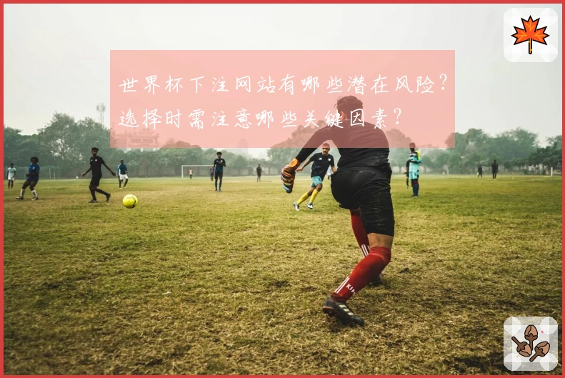 世界杯下注网站有哪些潜在风险？选择时需注意哪些关键因素？