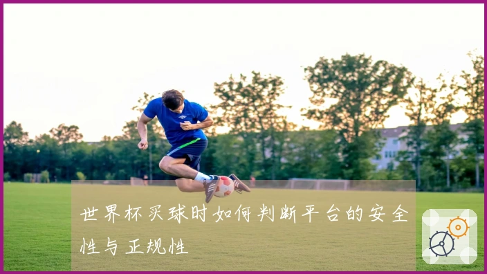 世界杯买球时如何判断平台的安全性与正规性