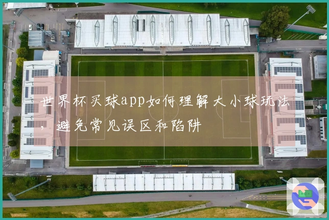 世界杯买球app如何理解大小球玩法，避免常见误区和陷阱