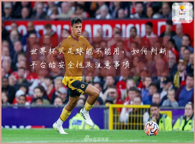 世界杯买足球能不能用，如何判断平台的安全性及注意事项