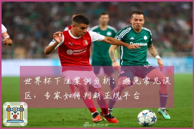 世界杯下注案例分析：避免常见误区，专家如何判断正规平台