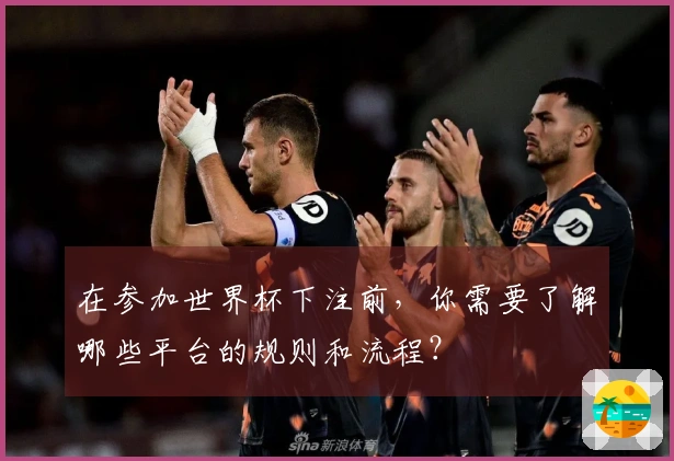 在参加世界杯下注前，你需要了解哪些平台的规则和流程？