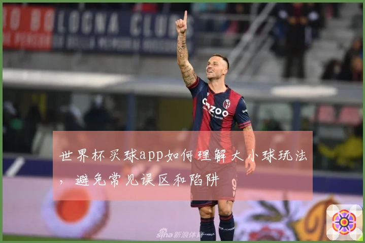 世界杯买球app如何理解大小球玩法，避免常见误区和陷阱