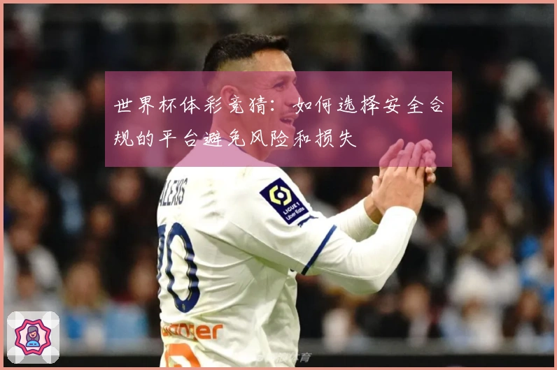 世界杯体彩竞猜：如何选择安全合规的平台避免风险和损失