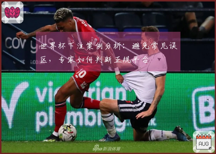 世界杯下注案例分析：避免常见误区，专家如何判断正规平台