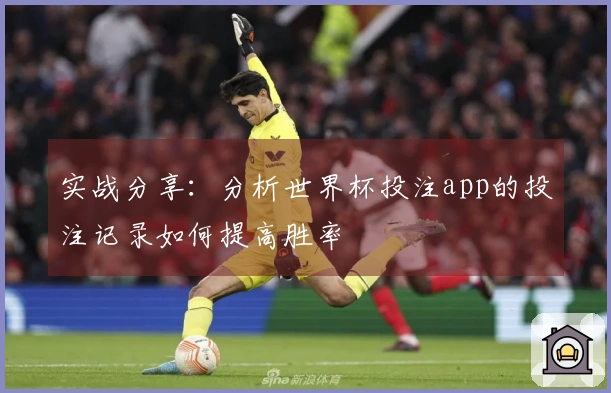 实战分享：分析世界杯投注app的投注记录如何提高胜率