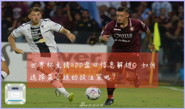 世界杯竞猜app盘口信息解析，如何选择最合适的投注策略？