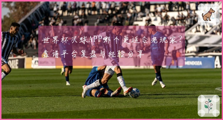 世界杯买球APP哪个更适合老玩家？靠谱平台复盘与经验分享