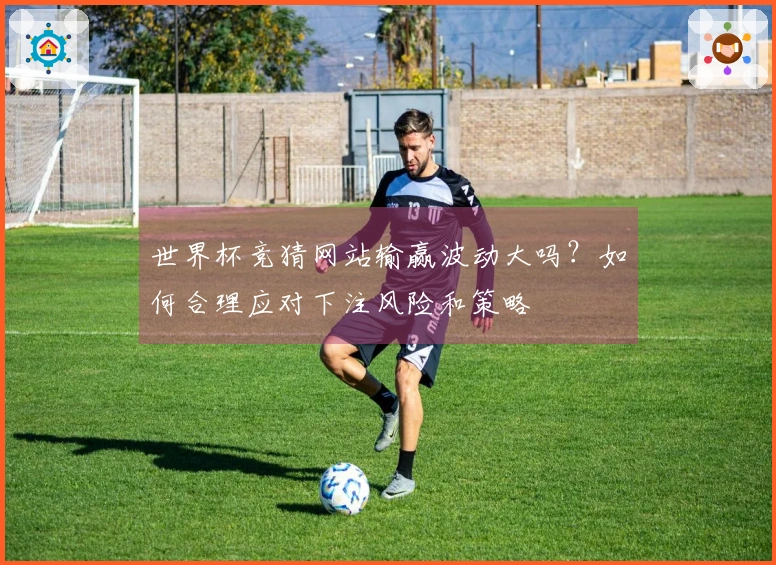 世界杯竞猜网站输赢波动大吗？如何合理应对下注风险和策略