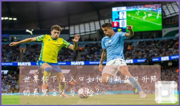 世界杯下注入口如何判断盘口升降的真实含义与风险？