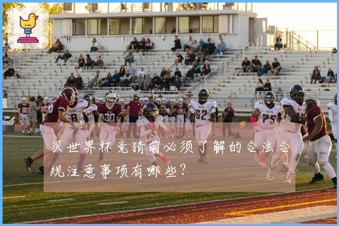 买世界杯竞猜前必须了解的合法合规注意事项有哪些？
