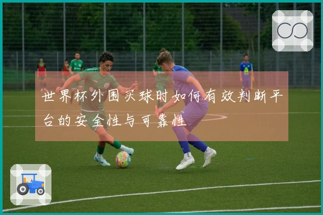 世界杯外围买球时如何有效判断平台的安全性与可靠性