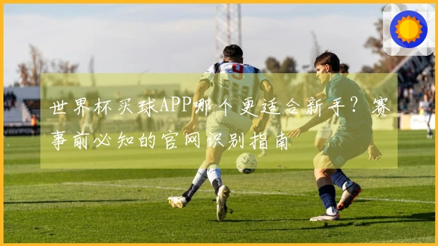 世界杯买球APP哪个更适合新手？赛事前必知的官网识别指南